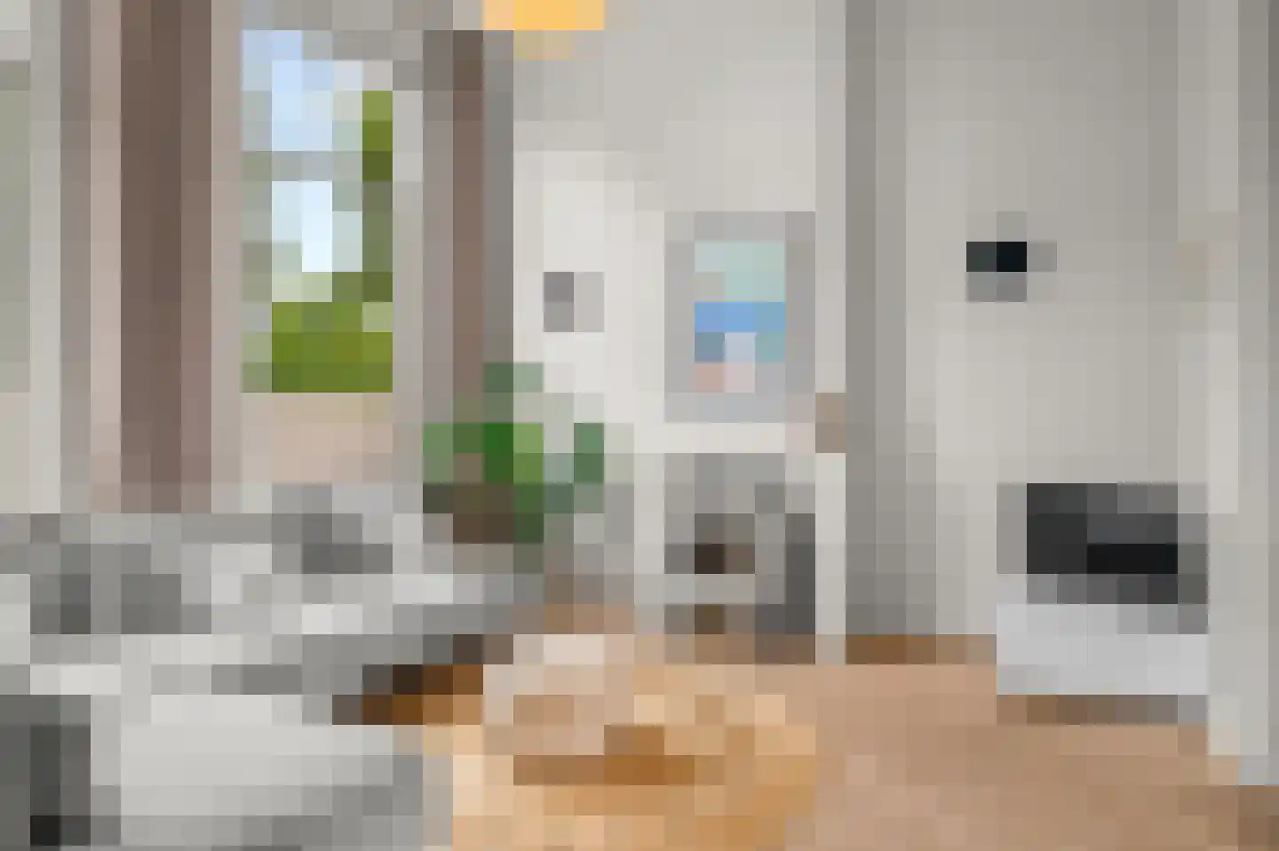 Vispoortstraat 24 Zutphen thumbnail 4