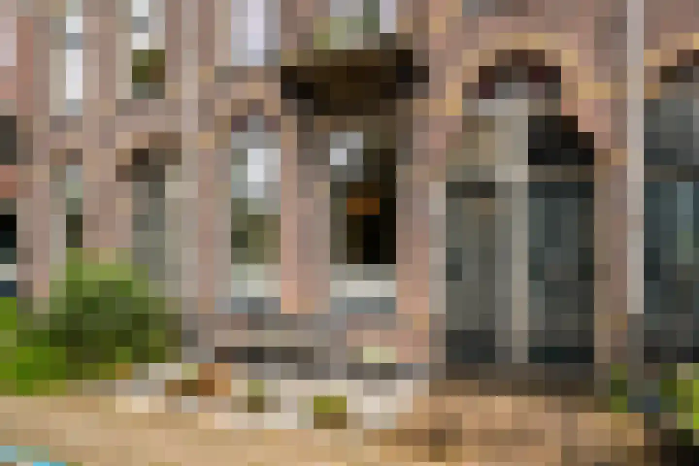 Vispoortstraat 24 Zutphen thumbnail 40