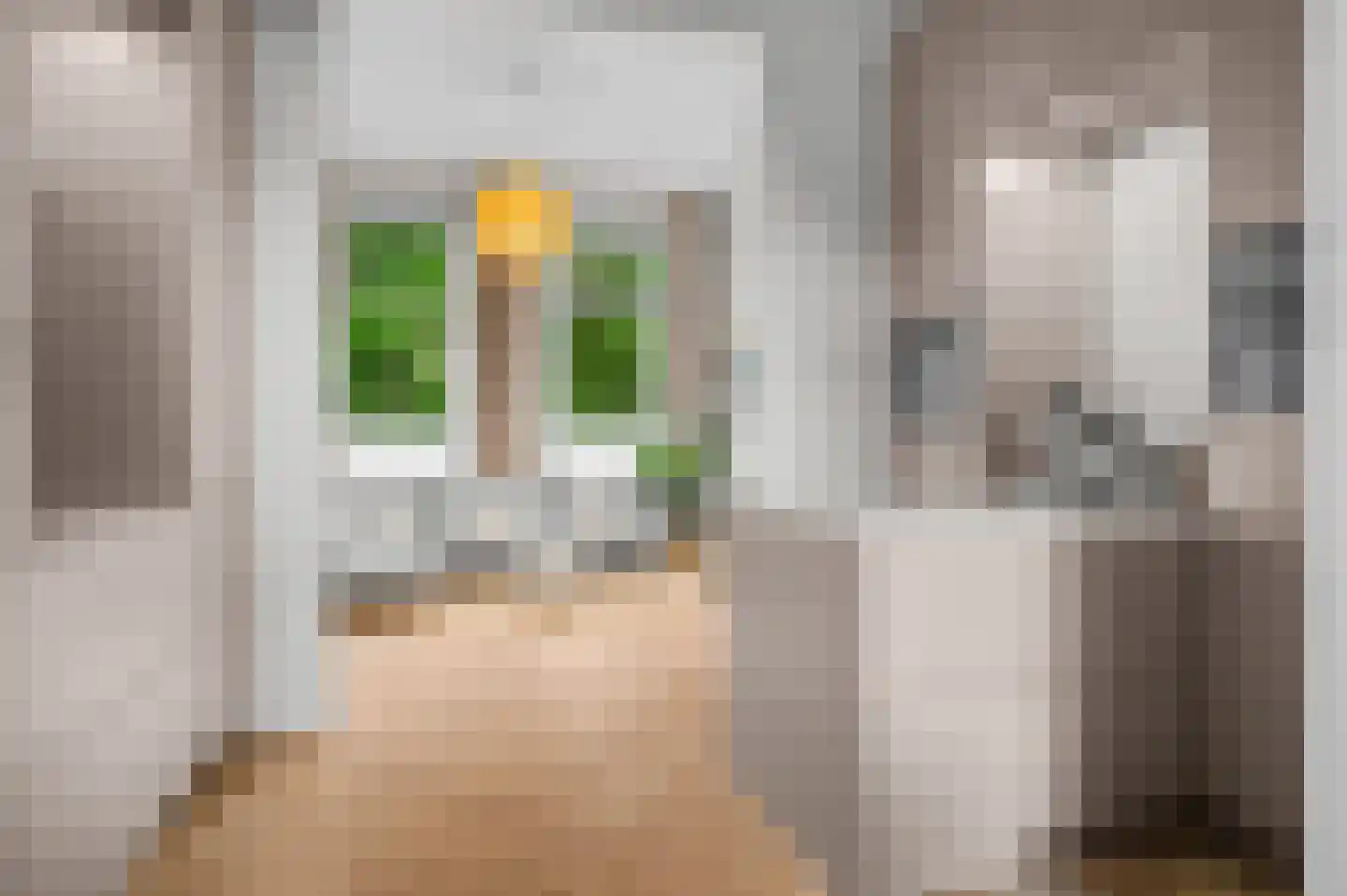 Vispoortstraat 24 Zutphen thumbnail 6