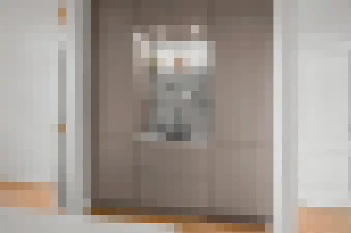 Vispoortstraat 24 Zutphen thumbnail 7