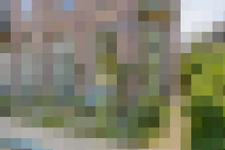 Vispoortstraat 26 Zutphen thumbnail 4