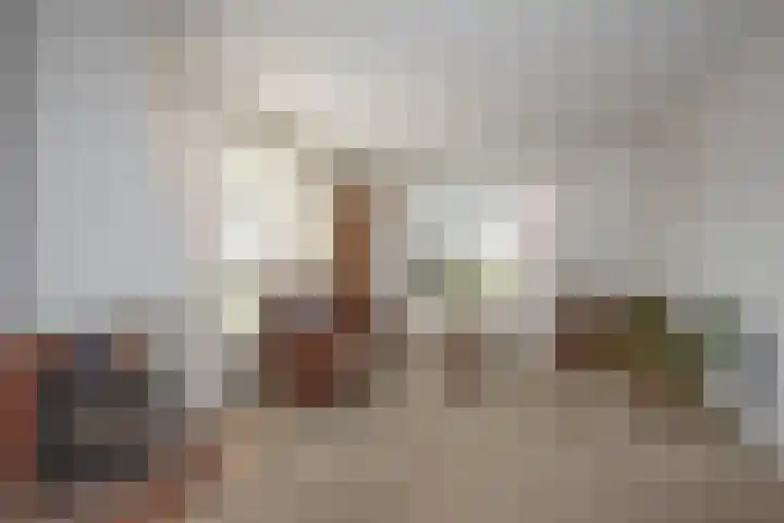 Visscherij 3 Delden thumbnail 10