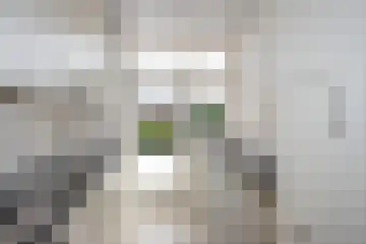 Visscherij 3 Delden thumbnail 12