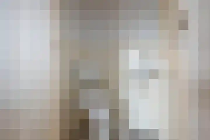Visscherij 3 Delden thumbnail 20