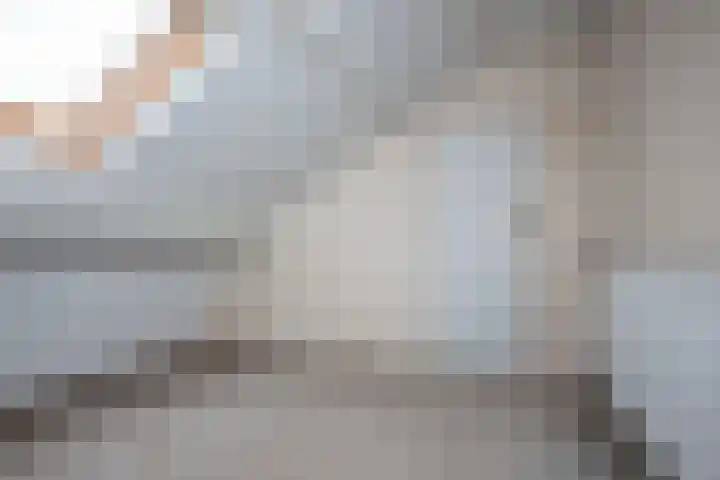 Visscherij 3 Delden thumbnail 21