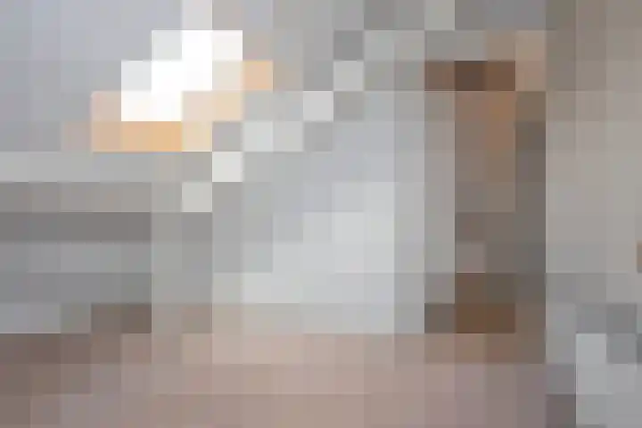 Visscherij 3 Delden thumbnail 24