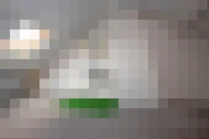 Visscherij 3 Delden thumbnail 25