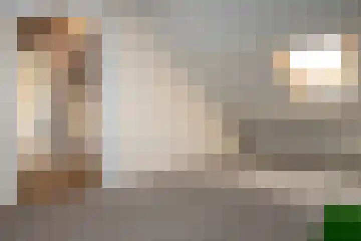 Visscherij 3 Delden thumbnail 26