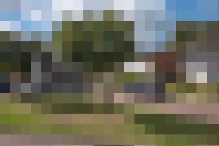 Visscherij 3 Delden thumbnail 29