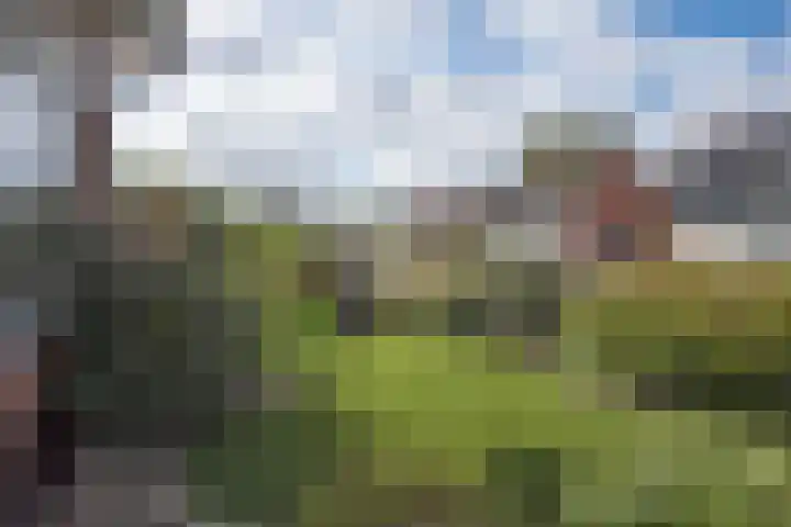 Visscherij 3 Delden thumbnail 30