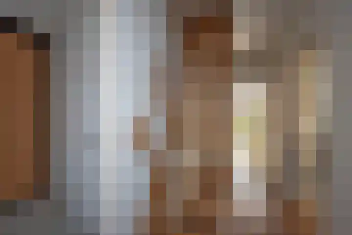 Visscherij 3 Delden thumbnail 8