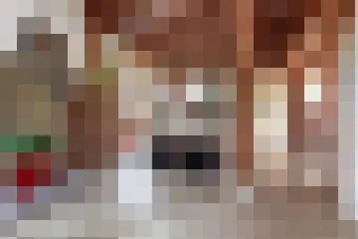 Visschers Pad 2 Rijnsaterwoude thumbnail 10