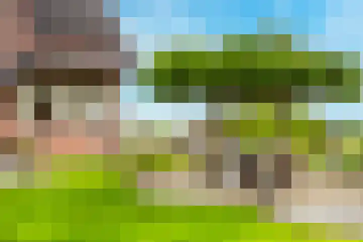 Visschers Pad 2 Rijnsaterwoude thumbnail 19