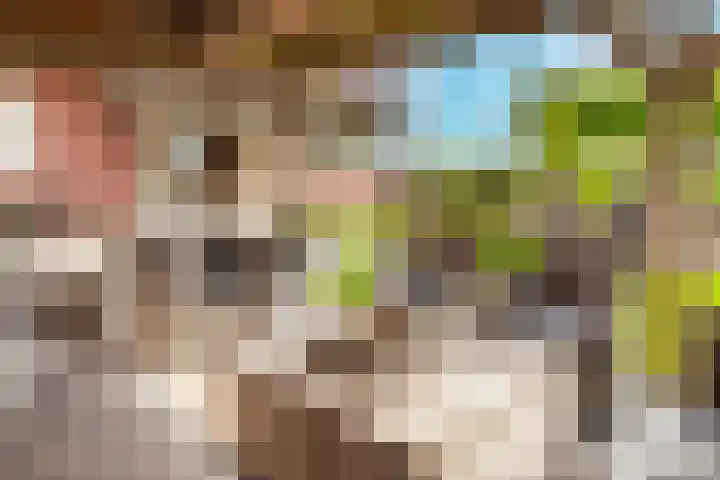 Visschers Pad 2 Rijnsaterwoude thumbnail 20