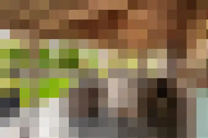 Visschers Pad 2 Rijnsaterwoude thumbnail 21