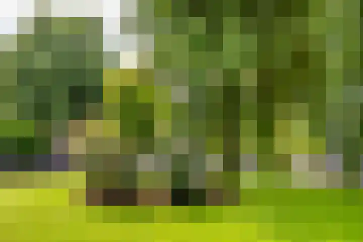 Visschers Pad 2 Rijnsaterwoude thumbnail 22