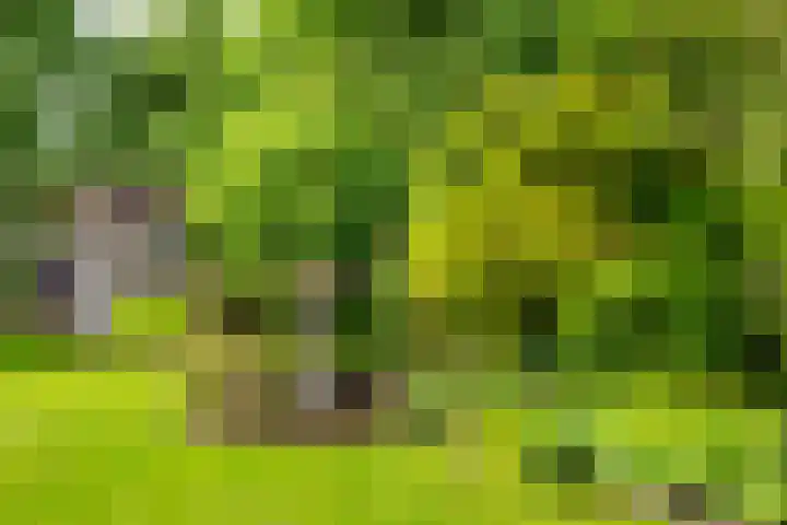Visschers Pad 2 Rijnsaterwoude thumbnail 23