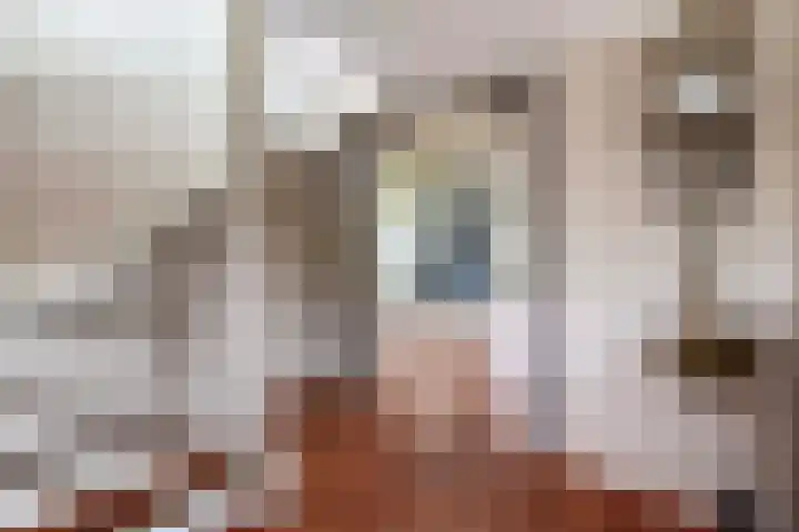 Visschers Pad 2 Rijnsaterwoude thumbnail 31