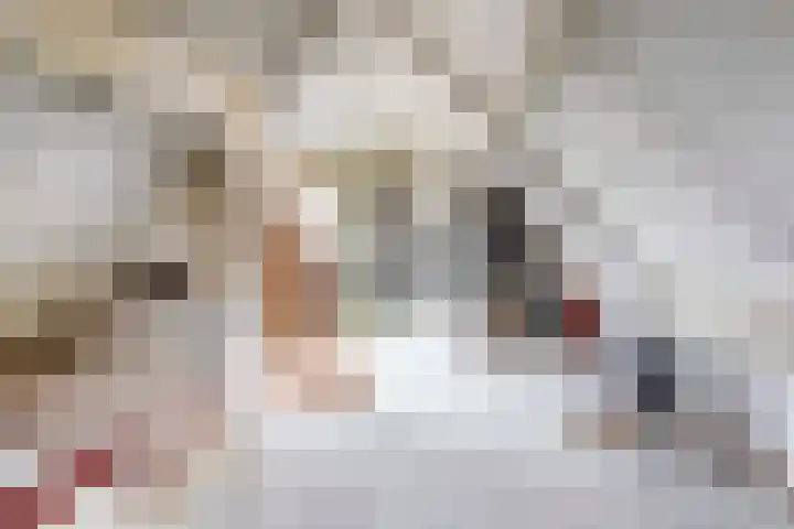 Visschers Pad 2 Rijnsaterwoude thumbnail 36