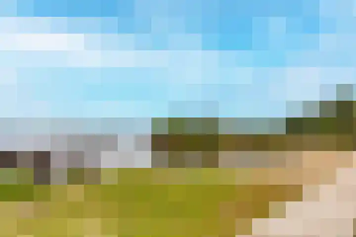 Visschers Pad 2 Rijnsaterwoude thumbnail 38