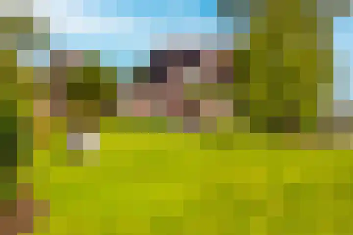 Visschers Pad 2 Rijnsaterwoude thumbnail 4