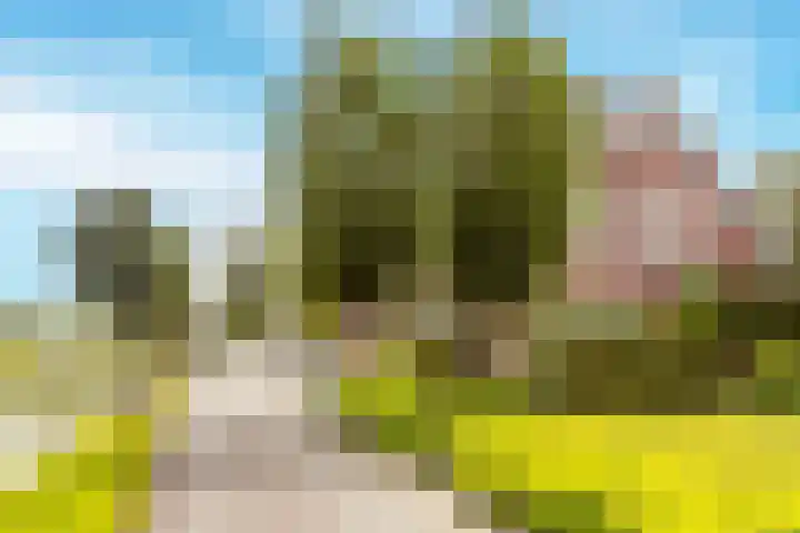 Visschers Pad 2 Rijnsaterwoude thumbnail 48