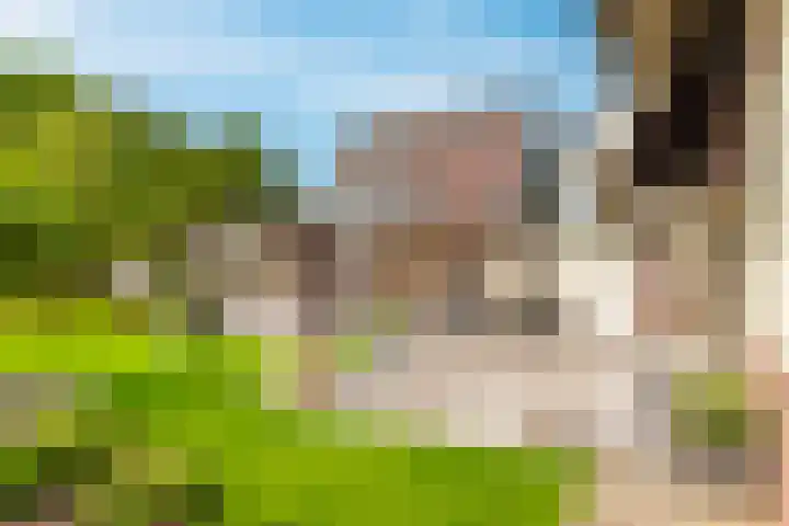 Visschers Pad 2 Rijnsaterwoude thumbnail 5
