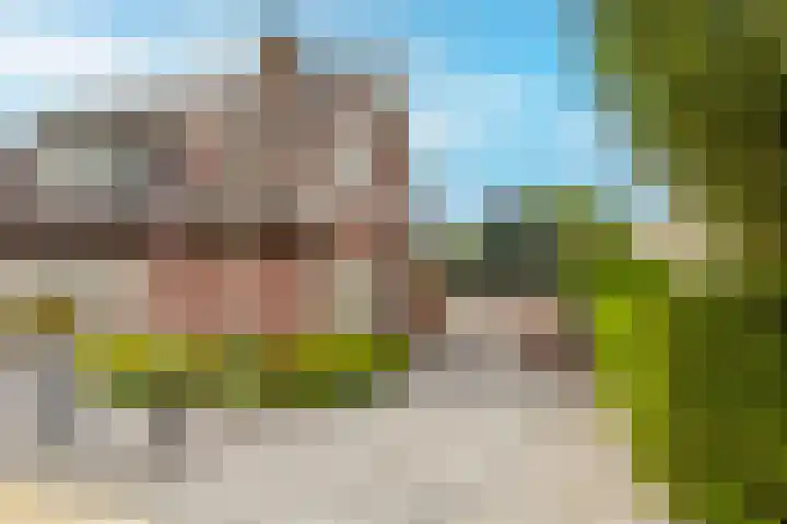 Visschers Pad 2 Rijnsaterwoude thumbnail 6
