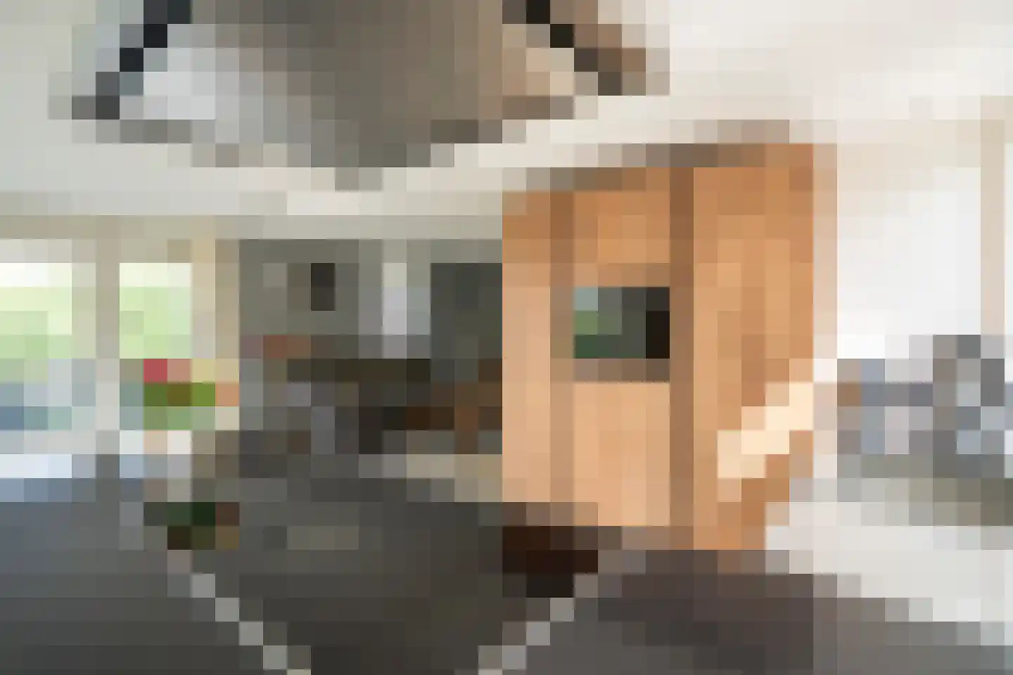 Visschersbuurt 4 Papendrecht thumbnail 15