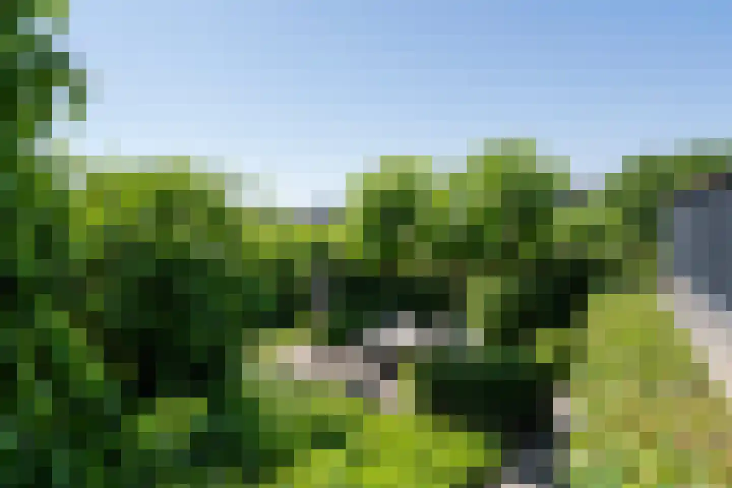 Visschersbuurt 4 Papendrecht thumbnail 45