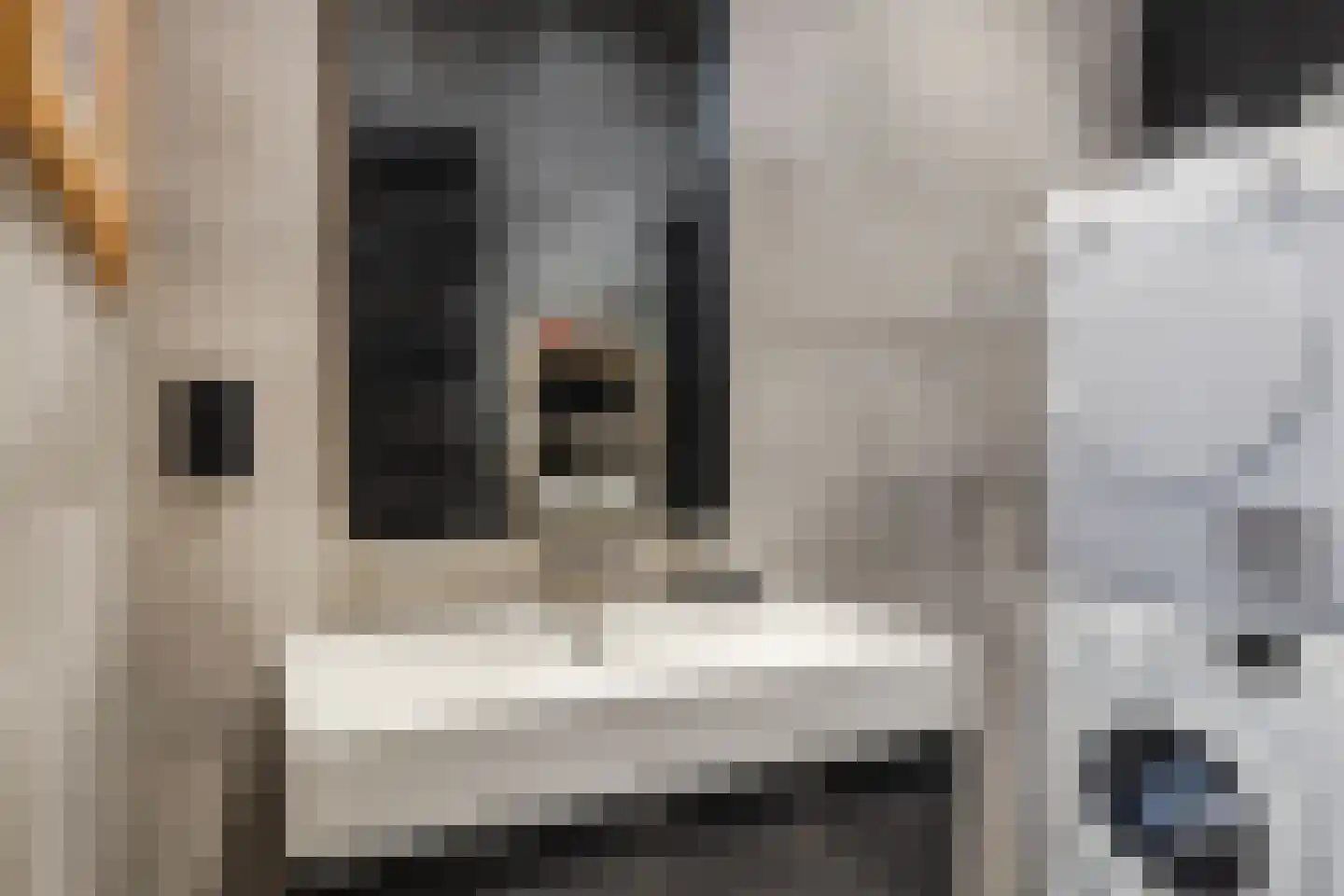 Visschersplein 1 Utrecht thumbnail 31
