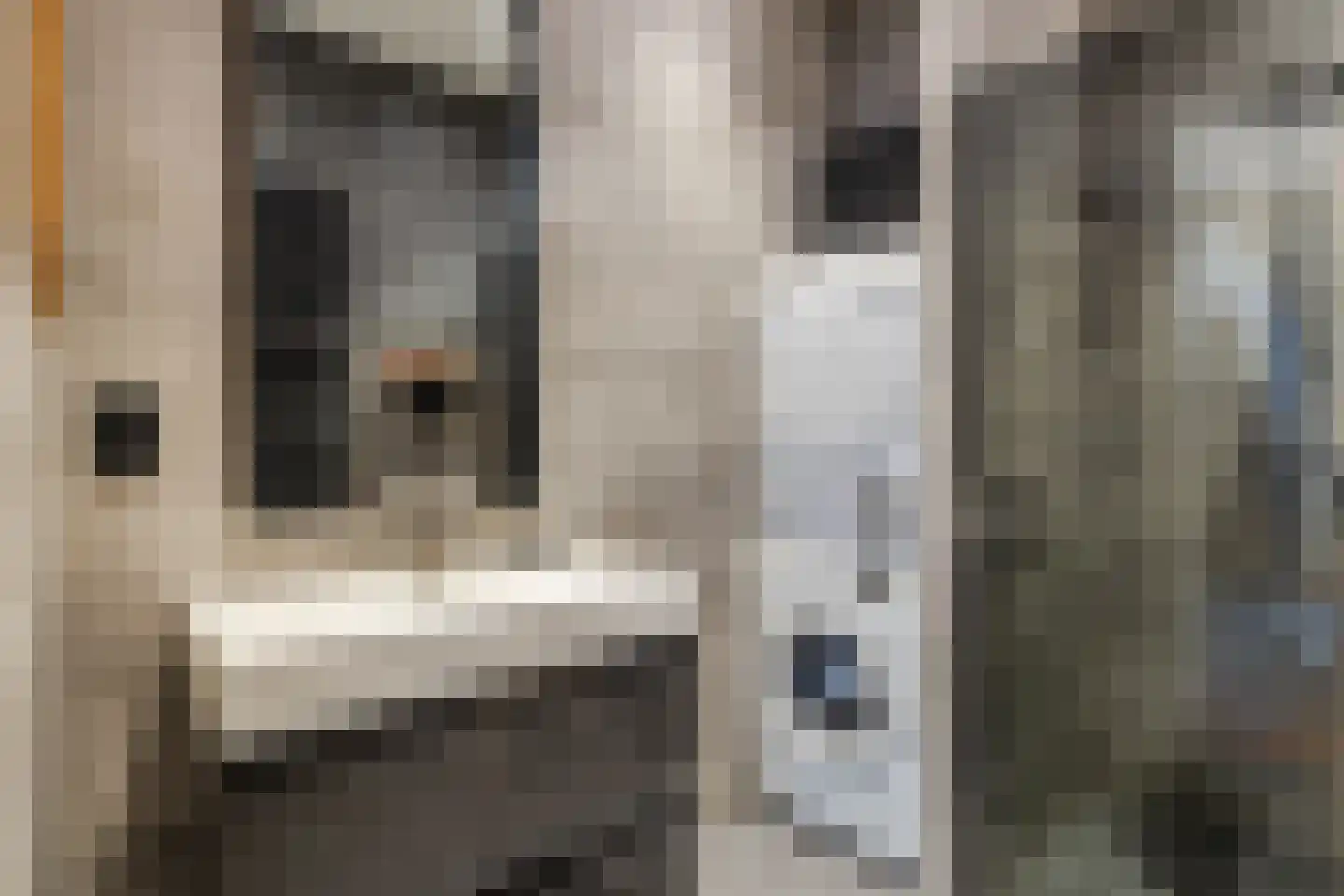 Visschersplein 1 Utrecht thumbnail 5