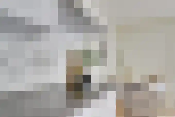 Visschersplein 142 Utrecht thumbnail 11