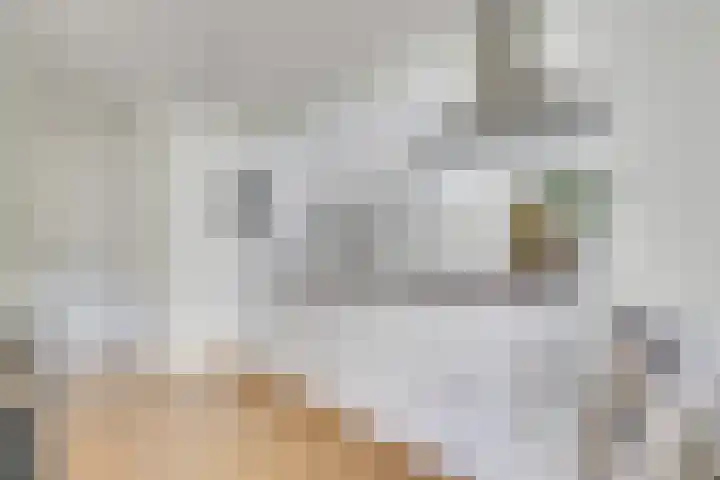 Visschersplein 142 Utrecht thumbnail 12