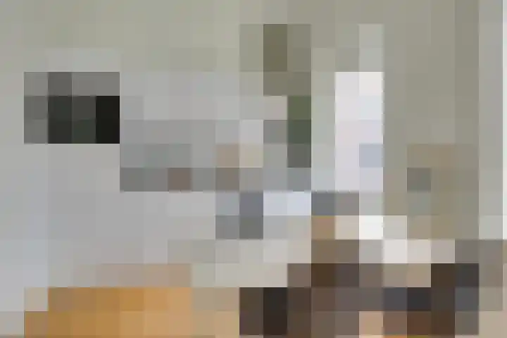 Visschersplein 144 G Utrecht thumbnail 11
