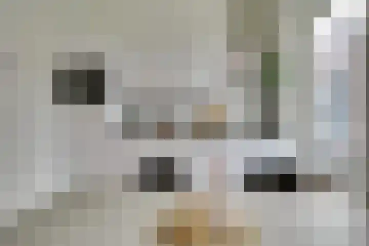 Visschersplein 144 G Utrecht thumbnail 12