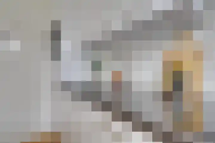 Visschersplein 144 G Utrecht thumbnail 13