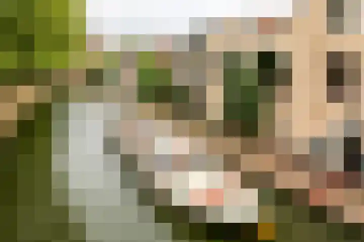 Visschersplein 144 G Utrecht thumbnail 29