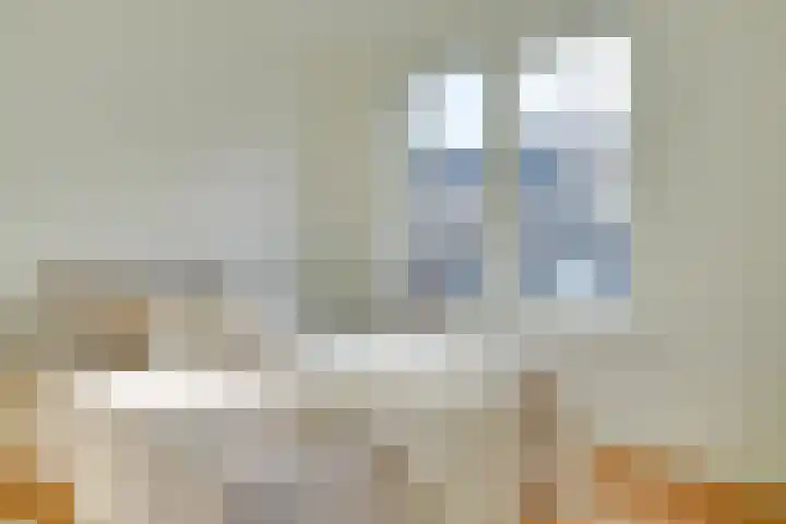 Visschersplein 144 J Utrecht thumbnail 13