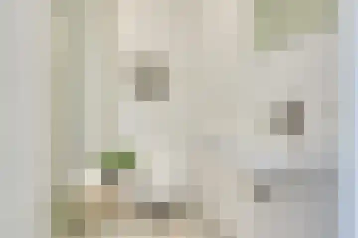 Visschersplein 144 J Utrecht thumbnail 16
