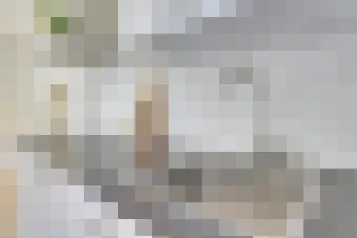 Visschersplein 144 J Utrecht thumbnail 18