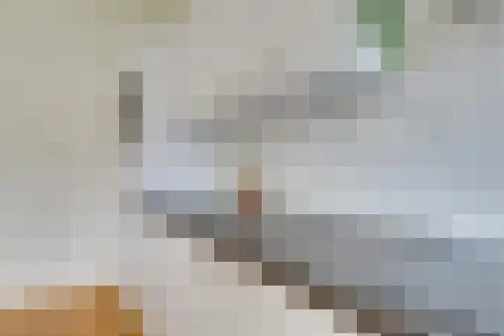Visschersplein 144 L Utrecht thumbnail 12