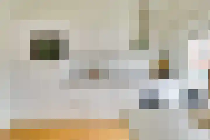 Visschersplein 144 L Utrecht thumbnail 9