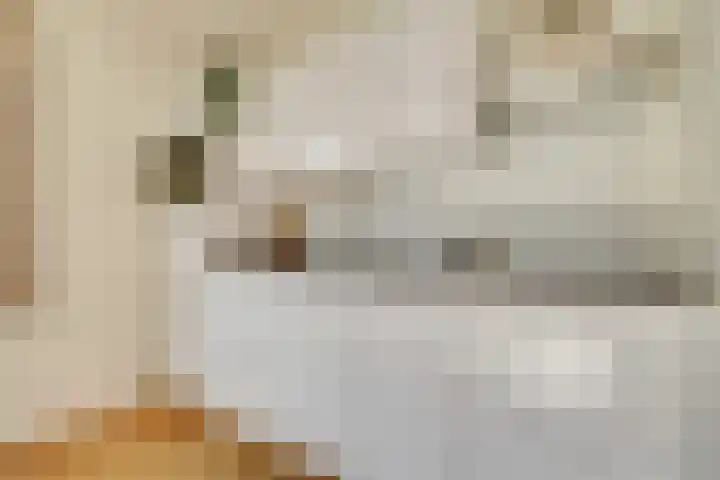 Visschersplein 146 Utrecht thumbnail 11