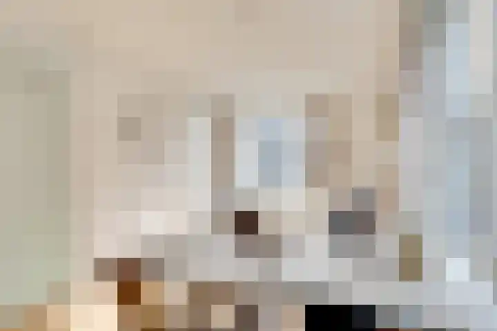 Visschersplein 146 Utrecht thumbnail 8