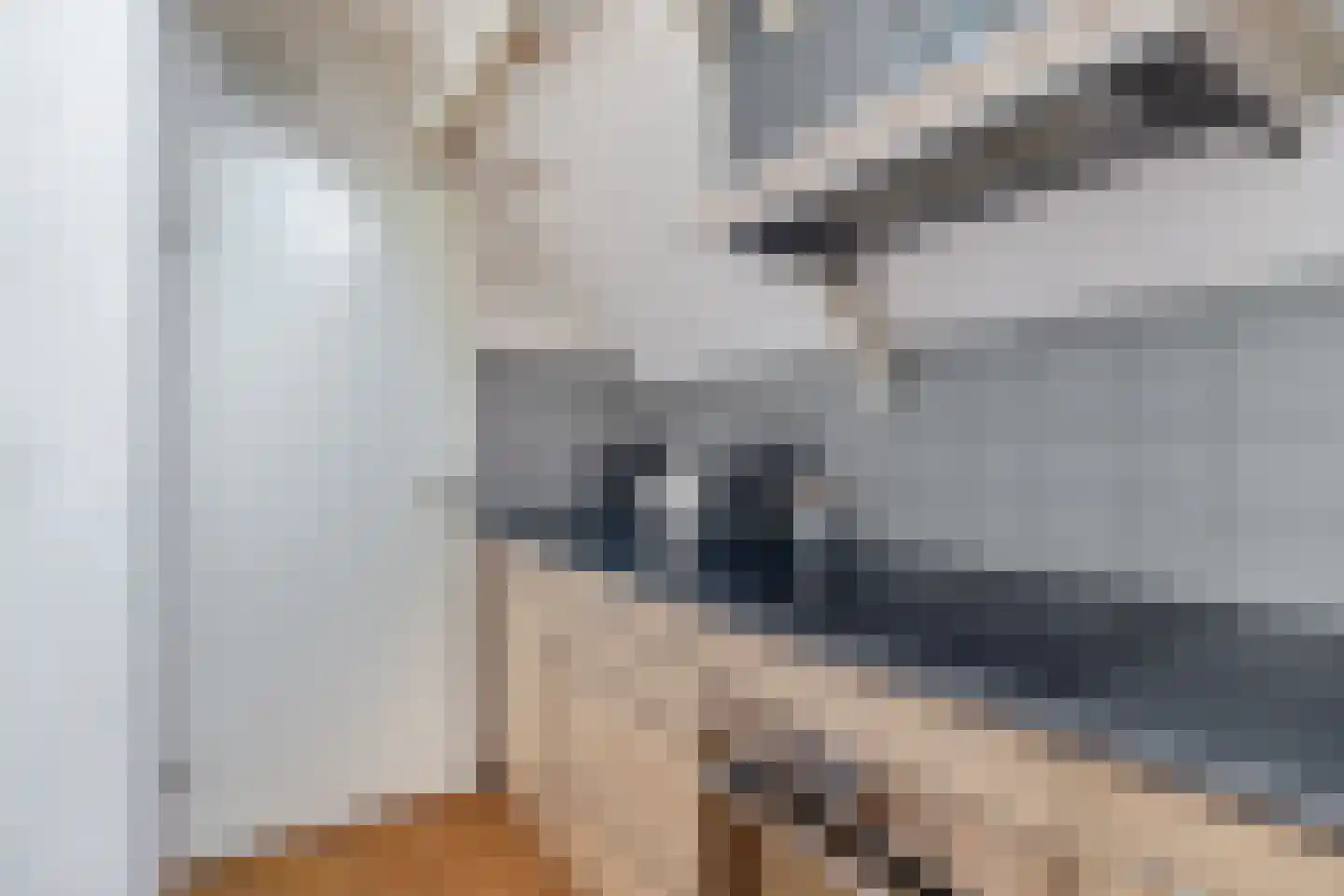 Visschersplein 28 Utrecht thumbnail 24