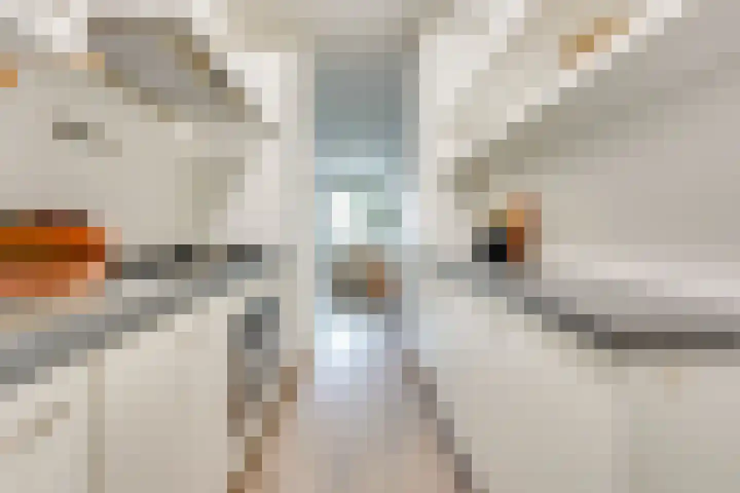 Visschersplein 36 Utrecht thumbnail 21