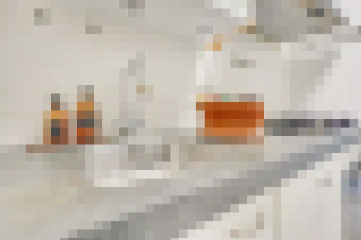 Visschersplein 36 Utrecht thumbnail 22