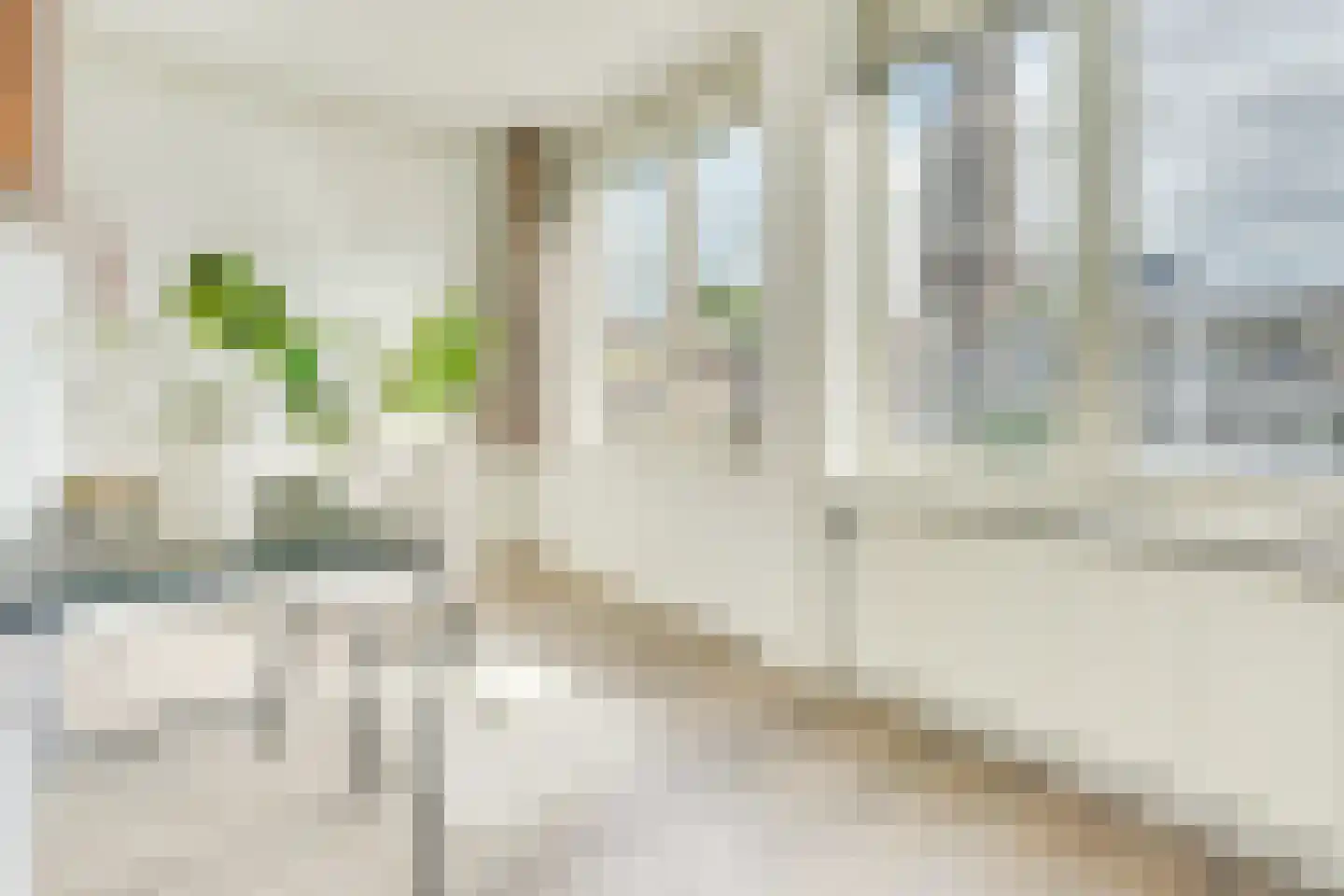 Visschersplein 36 Utrecht thumbnail 40