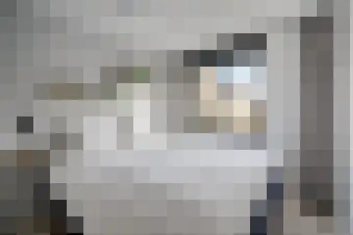 Visschersplein 50 Utrecht thumbnail 22